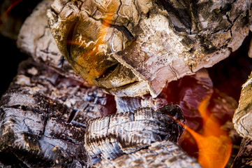 Campfire with burning firewood on foreground closeup, macro