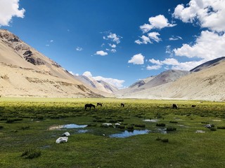 Ladakh, India