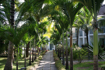 Obraz premium Palmengarten