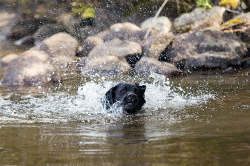 Splashing Water