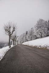Obraz premium Road