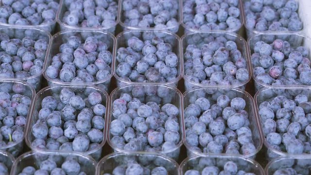 18805_The_closer_look_of_the_fresh_blueberries.mov