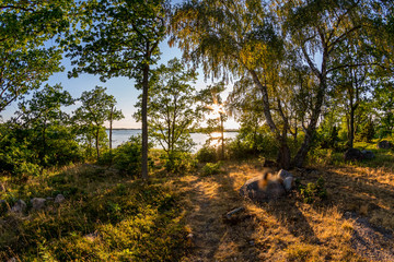Beautiful sunset behing trees © DZiegler