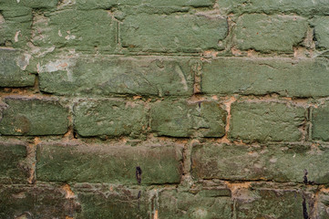 Old shabby exterior wall painted in green