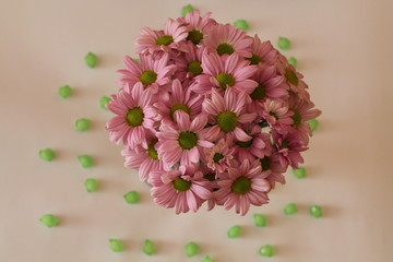  chrysanthemums in a vase on a white background