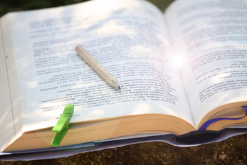 Fresh green apple on an open book outdoor in the grass. Time for school. Learn and healthy food...