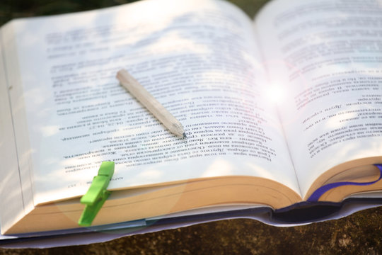 Fresh green apple on an open book outdoor in the grass. Time for school. Learn and healthy food concept. Apple and a book. Open schoolbook. Open manual and fruit outdoor. Nature and education. - Powered by Adobe