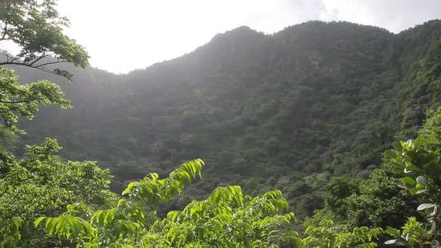 Djungle covering a volcano crater at Quill national park on the Dutch Caribbean island of Sint Eustatius