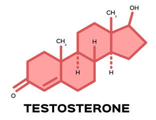 sex hormones , testosterone vector