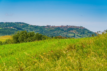 Fototapeta na wymiar Landscape of hilly tuscany