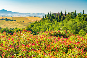 Beautiful landscape of hilly Tuscany in the sunny day at Valdocia Italy