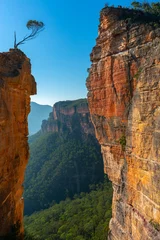 Photo sur Plexiglas Trois sœurs Hanging Rock Blue Mountains Australia