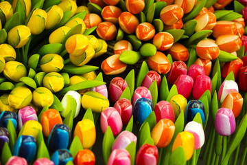 Fototapeta premium Dutch decorative tulips