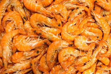 Hundreds of freshly caught scampis at a fish market in Croatia.