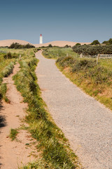 Beautiful danish nature landscape view of sand dunes and a white lighthouse framed by blurry trees. Rubjerg Knude Lighthouse, Lønstrup in North Jutland in Denmark, Skagerrak, North Sea