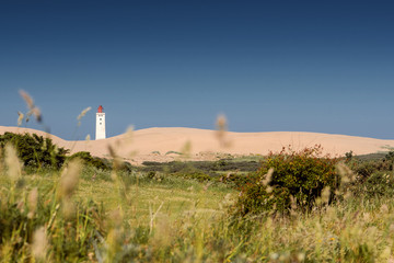 Fototapeta na wymiar Sand dunes and Lighthouse at the famous rubjerg knude landmark in northern jutland. Rubjerg Knude Lighthouse, Lønstrup in North Jutland in Denmark, Skagerrak, North Sea