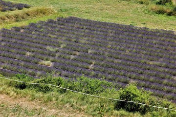 lourmalin provence