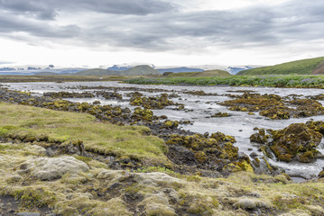 Fototapeta na wymiar Moss in Icelandic landscape