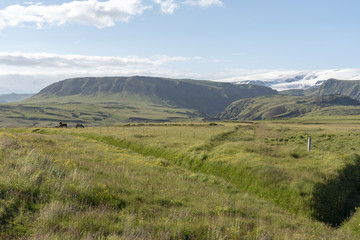 Meadows in south of Iceland