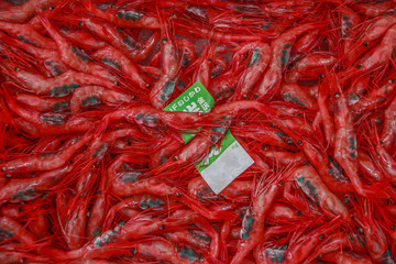 Naklejka premium Kyoto, Japan - Japan is a stunning mix of millenary history and modernity, and unforgettable landmarks