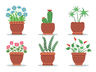 Obraz premium Room Plants in Pots Collection Vector Illustration
