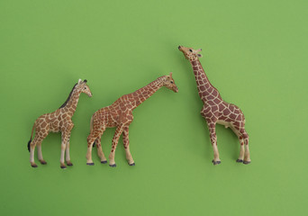 An animal is a children's toy.