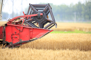 combine harvester working