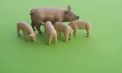 An animal is a children's toy.
