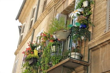 avignon