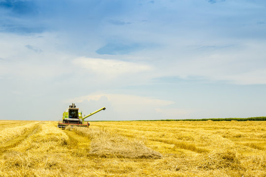 harvester in the middle of a wheat field viewed from the back