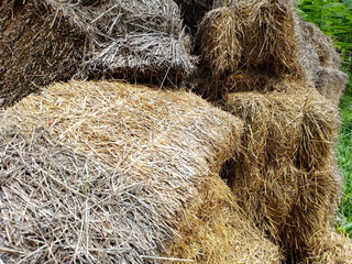 Dry Straw storage.