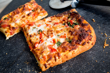 Square slices of delicious Italian style margarita pizza on board with cutter