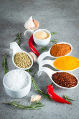 Spices in Wooden spoon. Herbs. Curry, Saffron, turmeric, rosemary, cinnamon, garlic, pepper, anise on wooden rustic background. Collection of spices and herbs. 