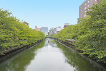 東京都江東区を流れる大横川