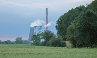 Zagajnik z drzewami, krzewami, zieloną łąką, za nimi duże i wysokie kominy fabryczne, z których unosi się gęsty dym © Wioletta