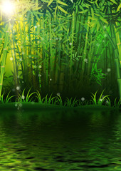 Bamboo forest background