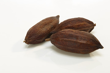 Cacao fruit on white background