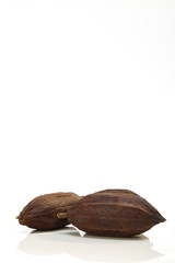 Cacao fruit on white background