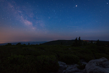 Dolly Sods Starry Night