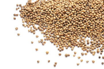 Coriander grain isolated on white