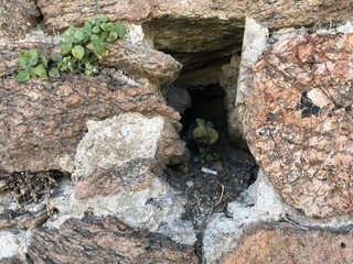 Septième lucarne dans mur ancien à Cannes