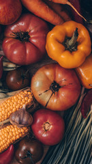 Harvest, Autumn. Panoramic collection of fresh healthy fruits and vegetables. Healthy eating background. Vegetables background