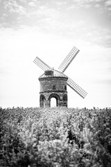 Old Windmill, UK Landscape