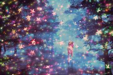 Unicorn in the starry forest © AnnaPa