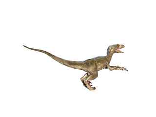 Dinosaurier Raptor