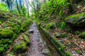 Walking trail along the levada in a  forest on the island Madeira