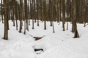 Aussparungen im Schnee