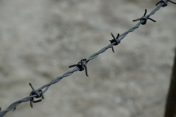 Barbed Wire