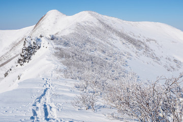 Fototapeta premium 冬の雪原