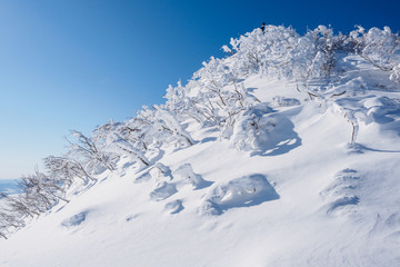 Fototapeta na wymiar 冬の雪原